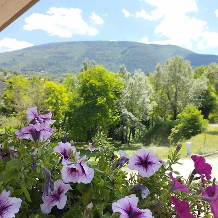 Pianpieve Nature & Relax Apartments Assisi Dış mekan fotoğraf