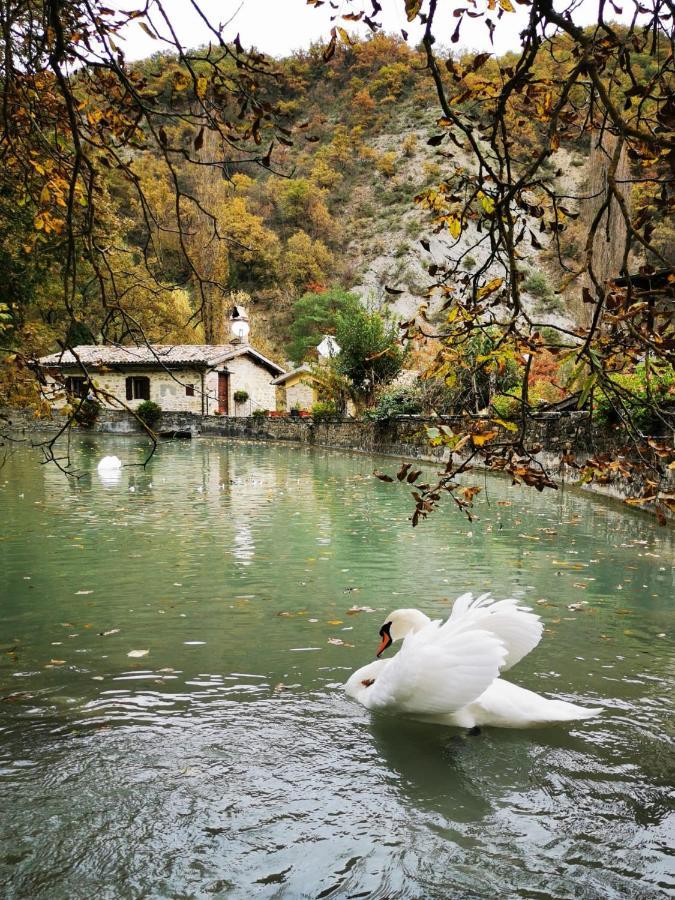 Pianpieve Nature & Relax Apartments Assisi Dış mekan fotoğraf
