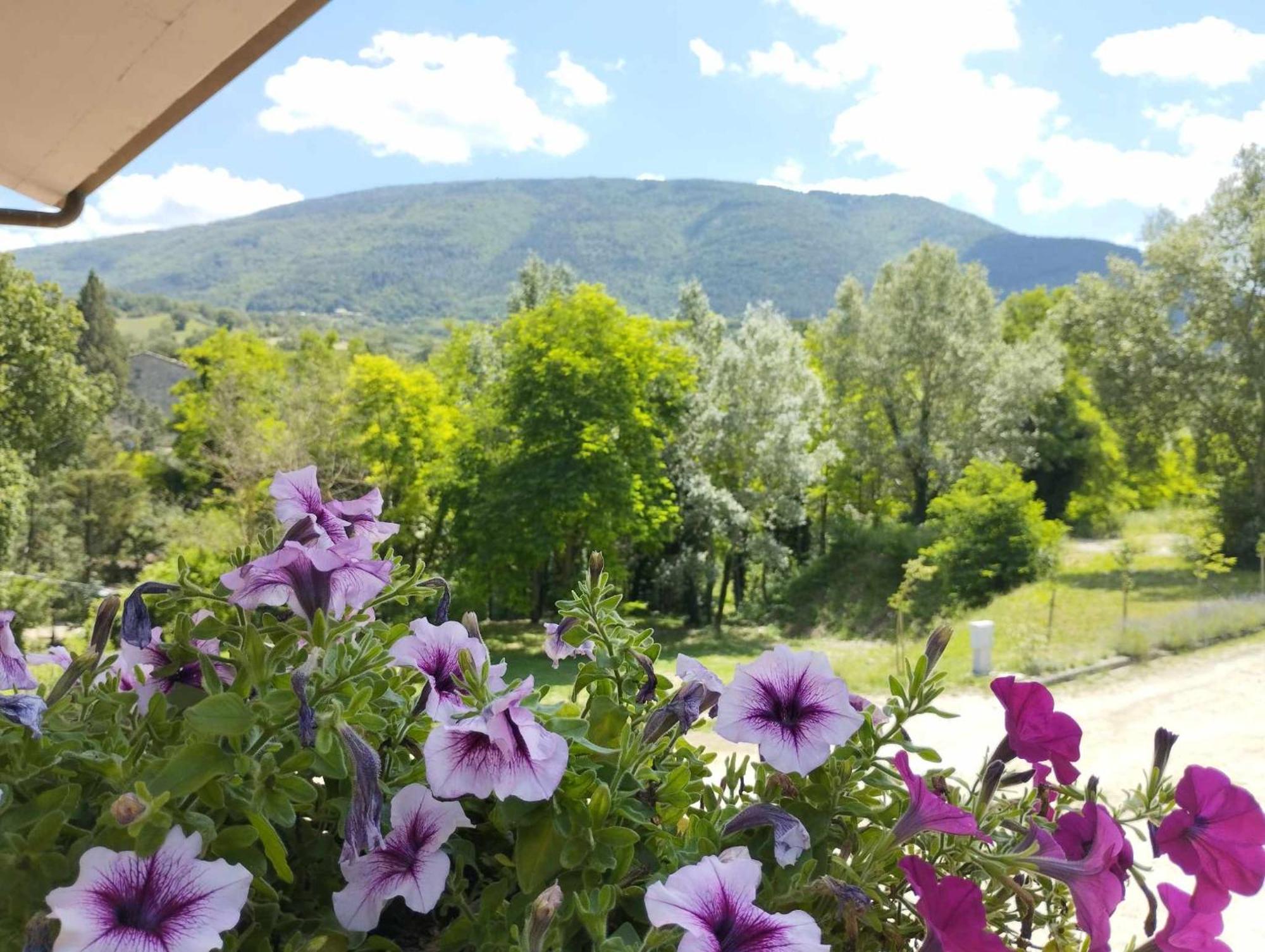 Pianpieve Nature & Relax Apartments Assisi Dış mekan fotoğraf