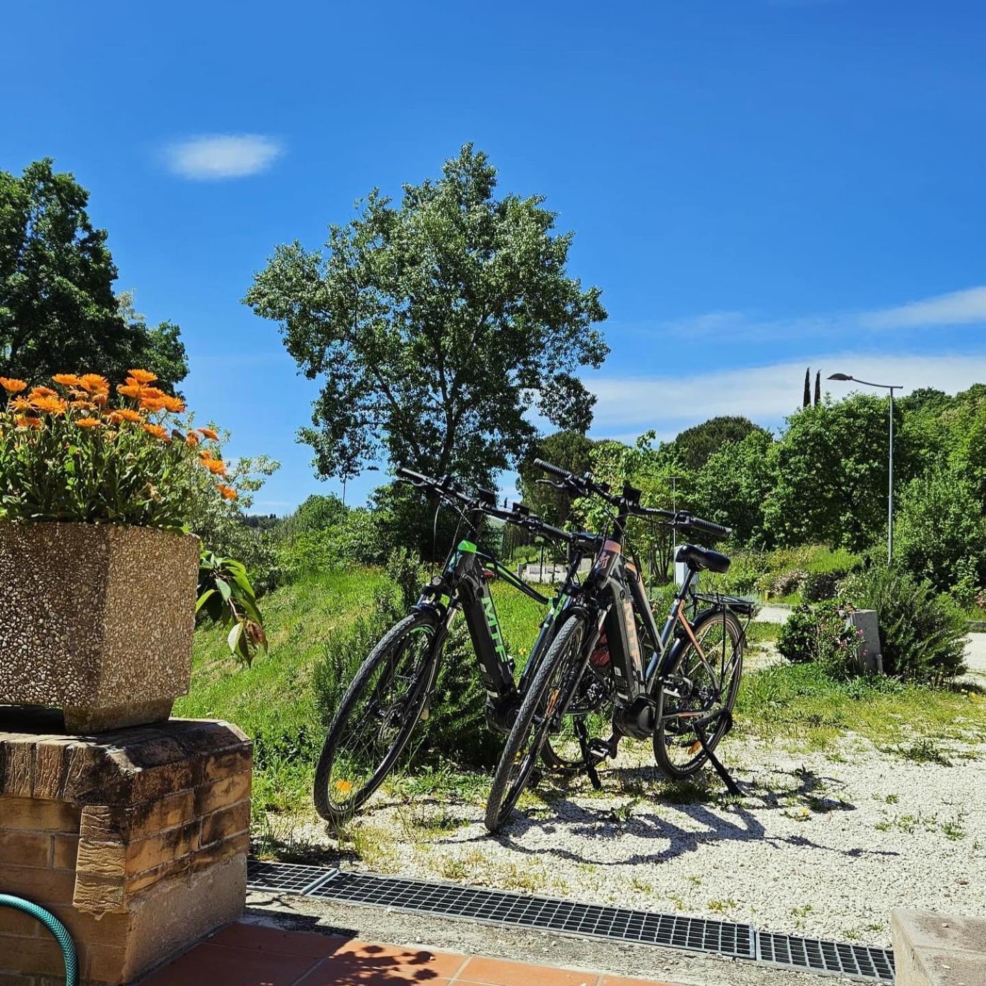 Pianpieve Nature & Relax Apartments Assisi Dış mekan fotoğraf